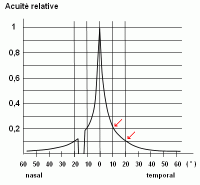 acuit&eacute;_r&eacute;tine